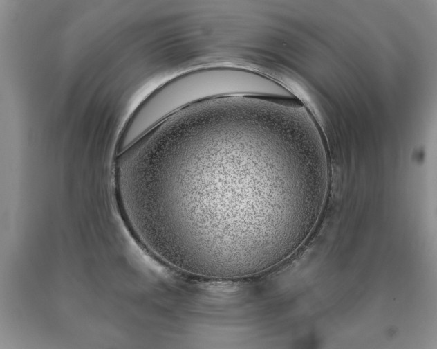 X0000090441141200707201248