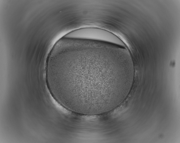 X0000090441143200707201248