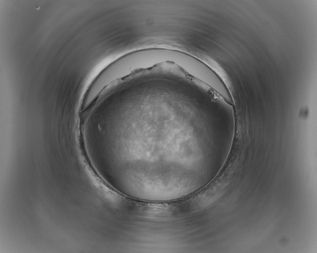 X0000090441144200707201248