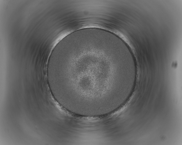 X0000090441145200707201248