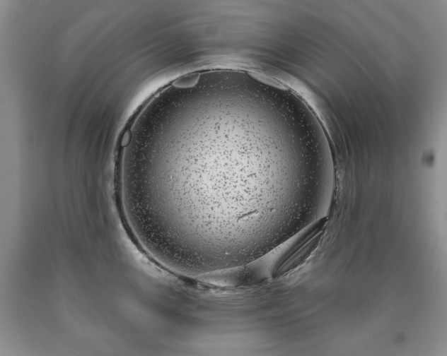 X0000090441147200707201248