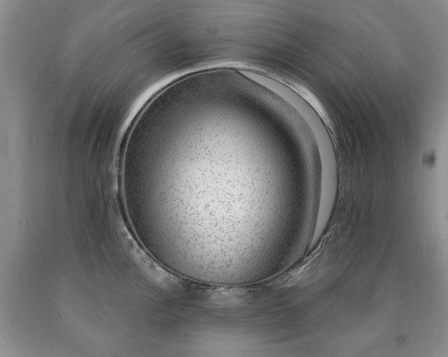 X0000090441148200707201248