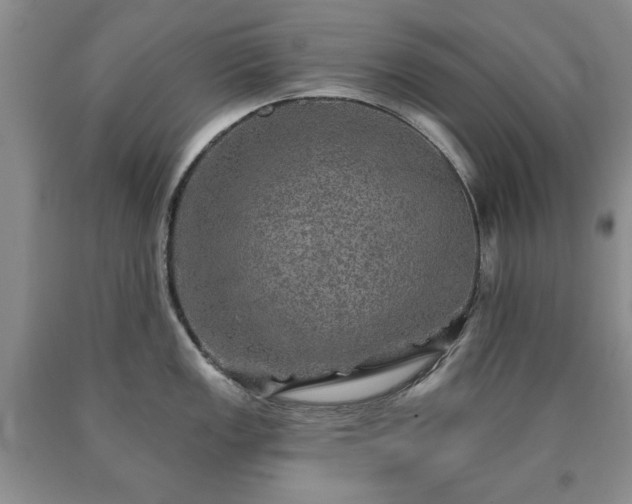 X0000090441149200707201248