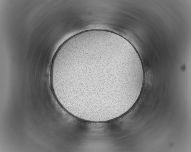 X0000090441150200707201248