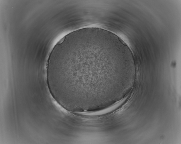 X0000090441151200707201248