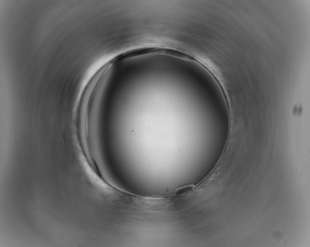 X0000090441152200707201248