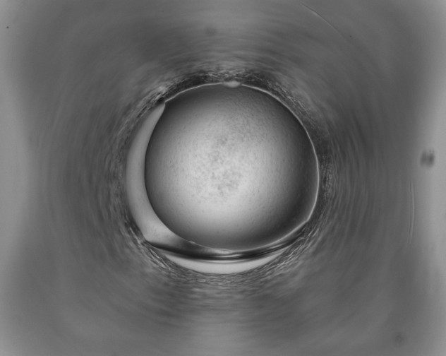 X0000090441153200707201247