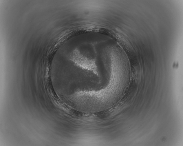 X0000090441154200707201247