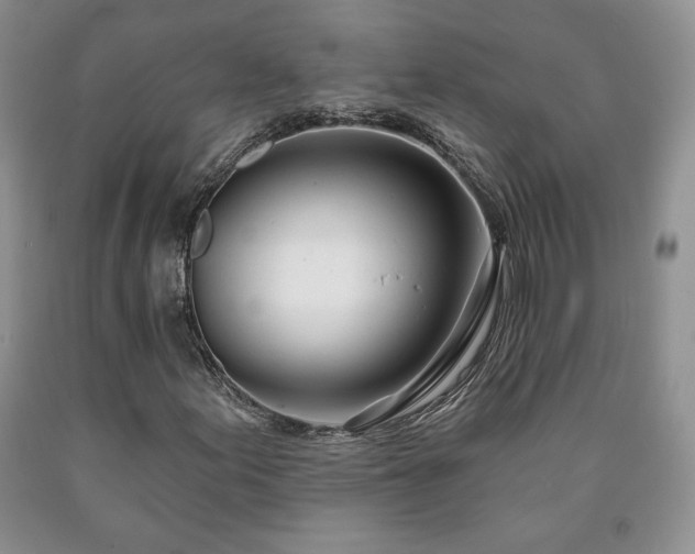 X0000090441155200707201247