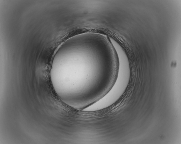 X0000090441156200707201247