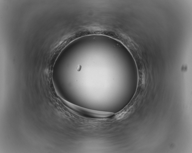 X0000090441157200707201247