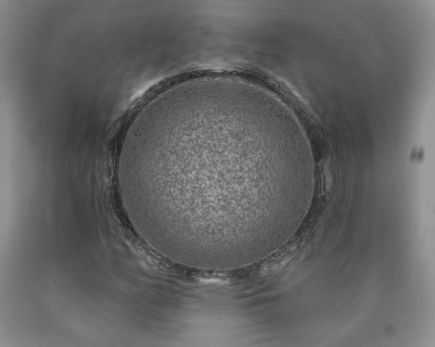 X0000090441158200707201247