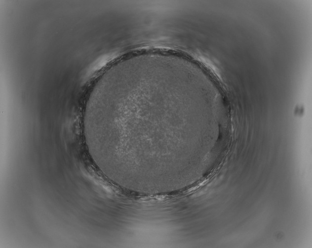 X0000090441159200707201247