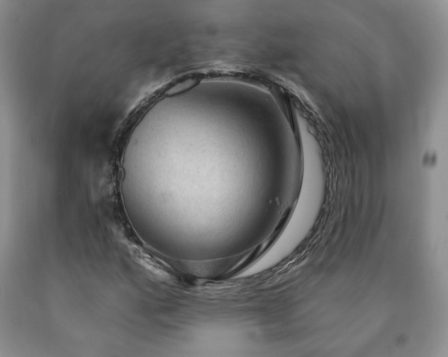 X0000090441160200707201247