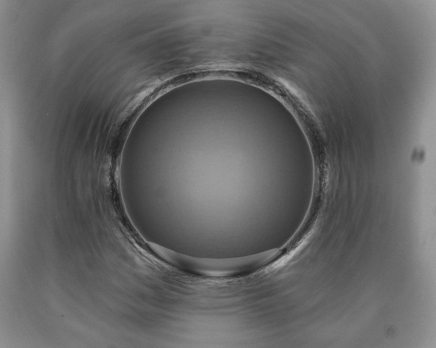 X0000090441161200707201247