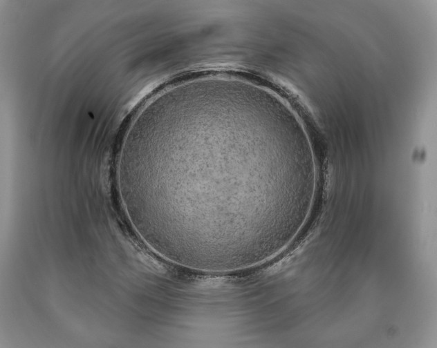 X0000090441162200707201247