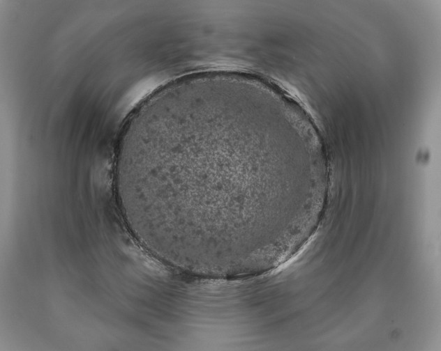 X0000090441163200707201247