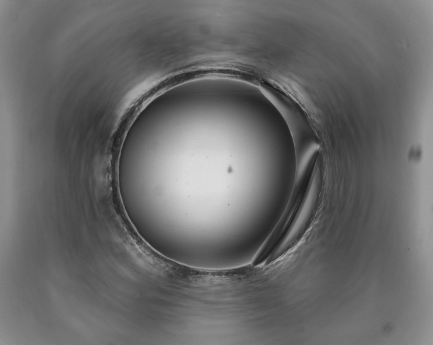 X0000090441164200707201247