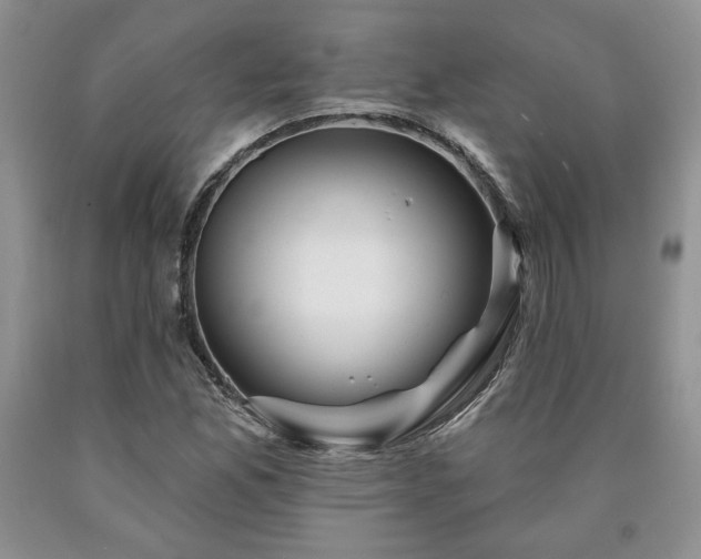 X0000090441165200707201247