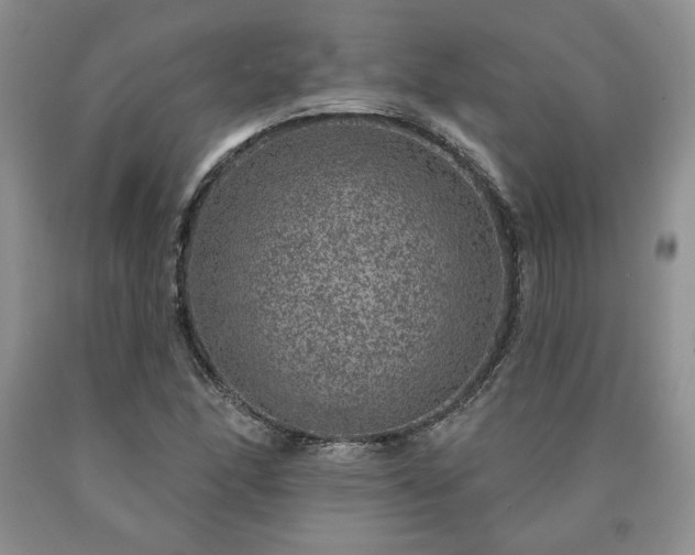 X0000090441166200707201247