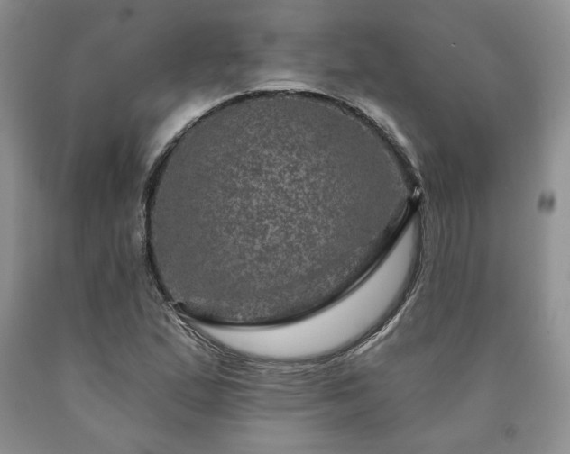 X0000090441167200707201247