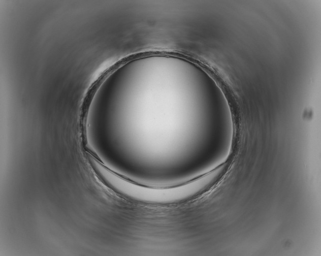 X0000090441168200707201247