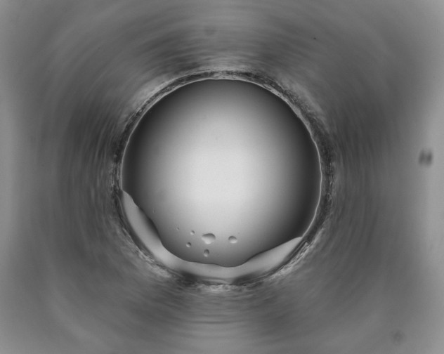 X0000090441169200707201247