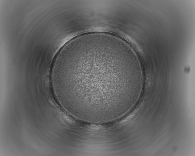 X0000090441170200707201247