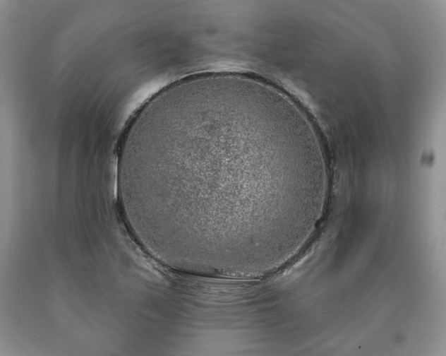 X0000090441171200707201247