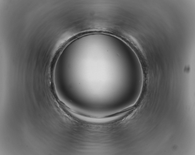 X0000090441172200707201247