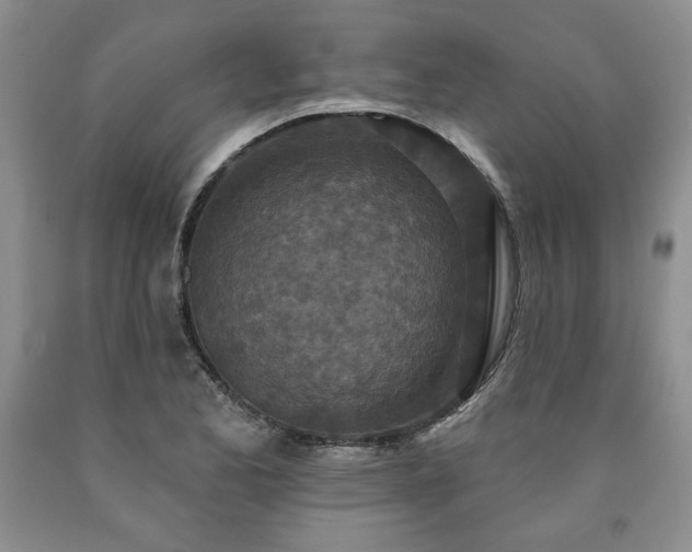 X0000090441173200707201247