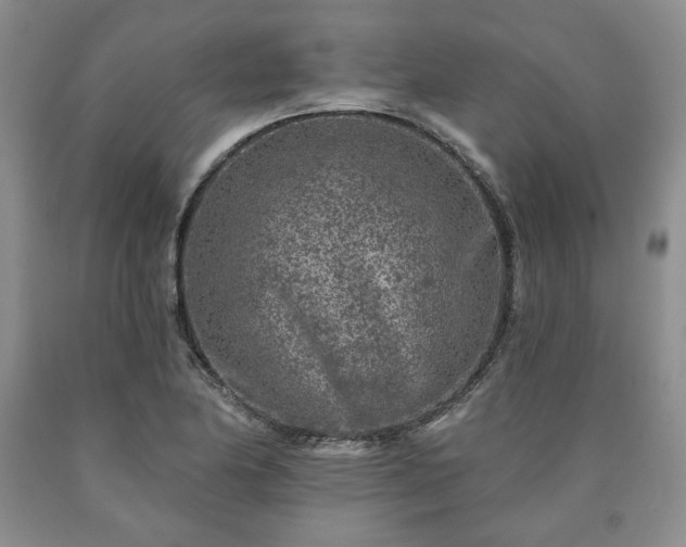 X0000090441174200707201247