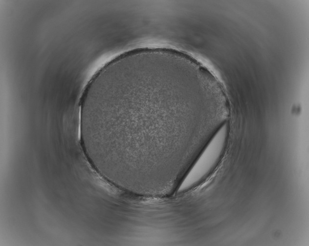 X0000090441175200707201247