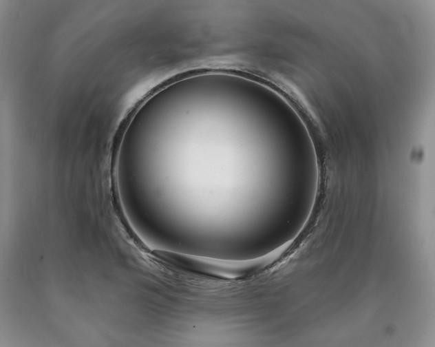 X0000090441176200707201247