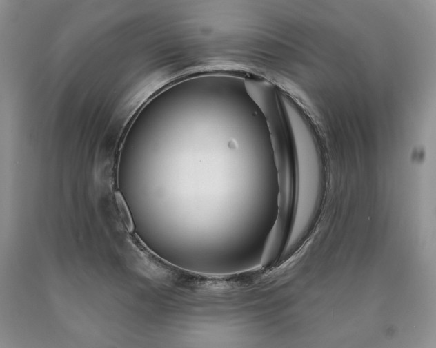 X0000090441177200707201247