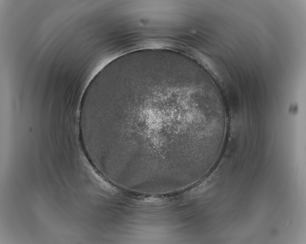 X0000090441178200707201247