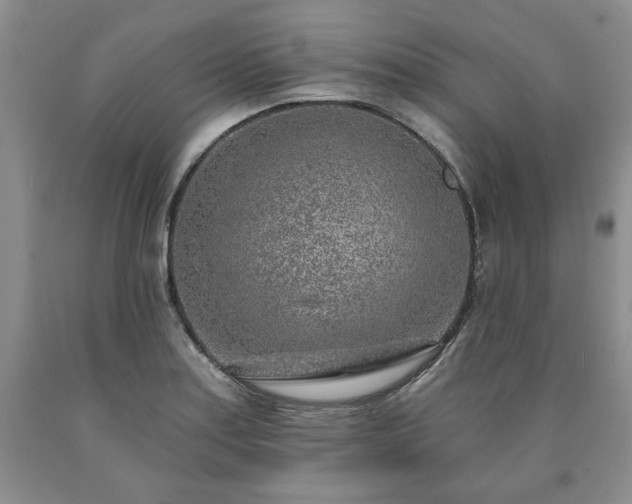 X0000090441179200707201247