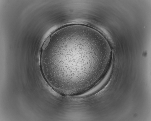 X0000090441180200707201247