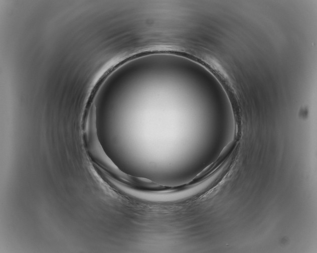 X0000090441181200707201247