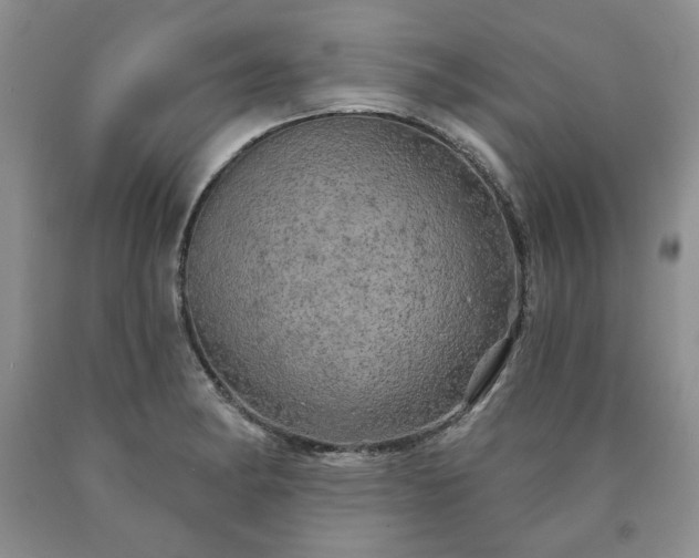 X0000090441182200707201247