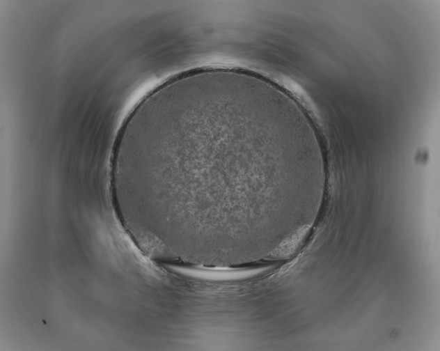 X0000090441183200707201247