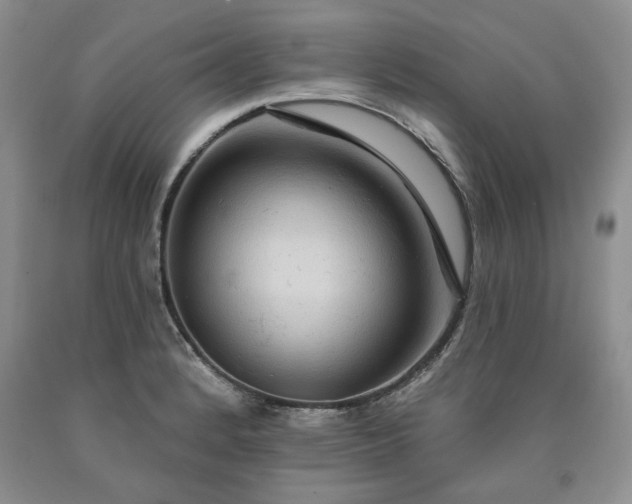 X0000090441184200707201247