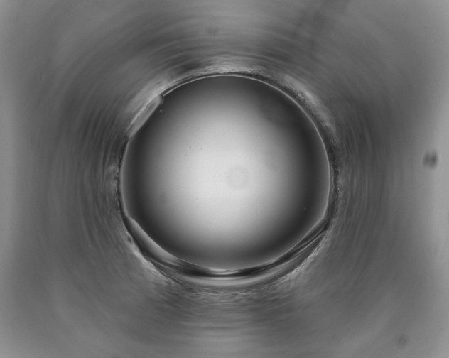 X0000090441185200707201247