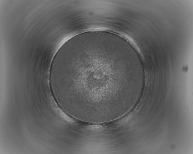 X0000090441186200707201247