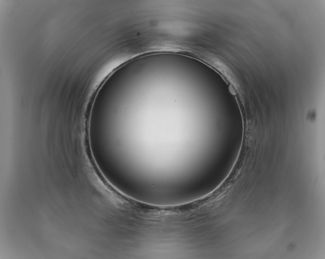 X0000090441187200707201247