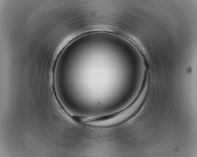 X0000090441188200707201247