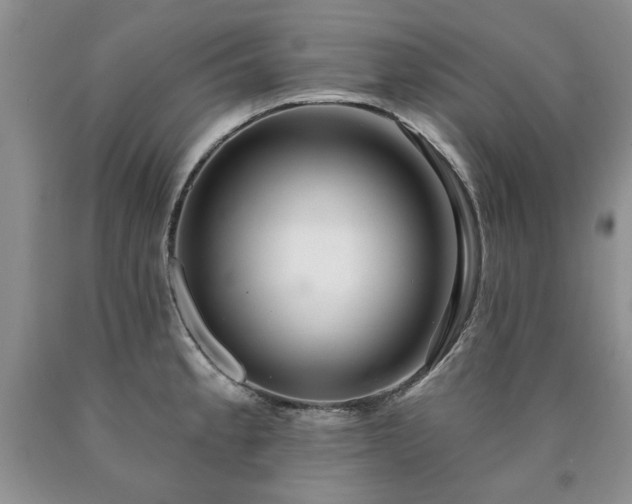 X0000090441189200707201247