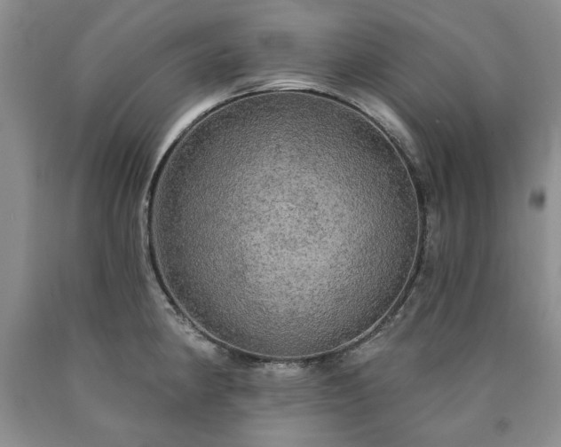 X0000090441190200707201247