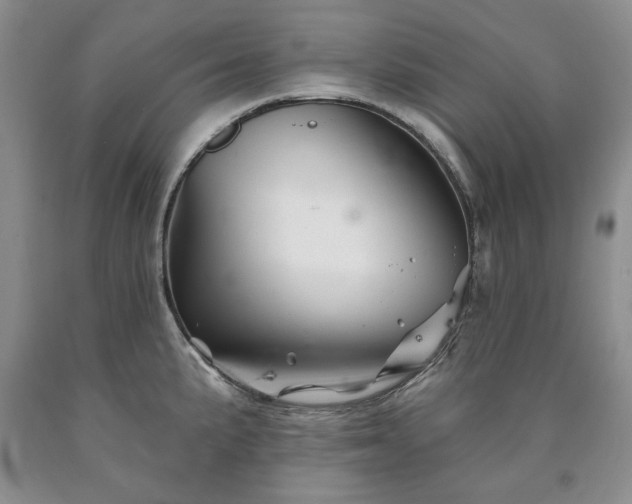 X0000090441191200707201247