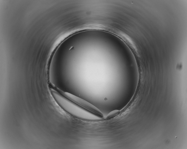 X0000090441192200707201247